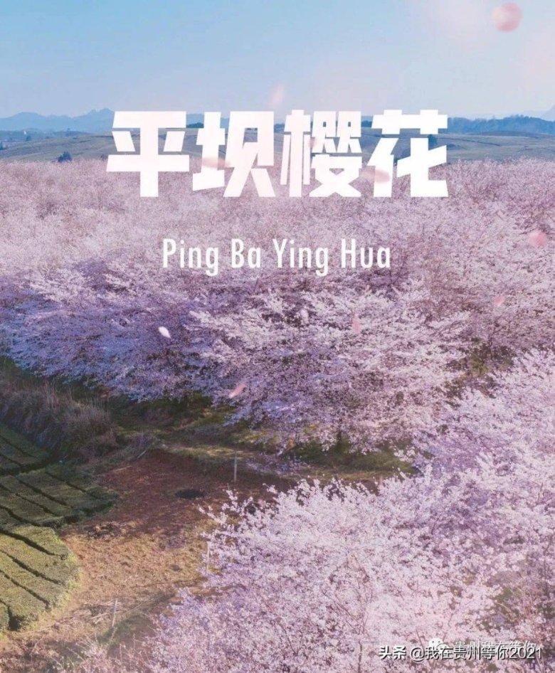 英雄就是我